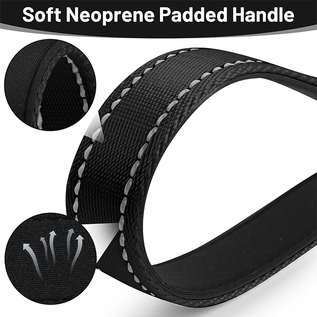 Wehao Traffic Dog Leash with Safety Carabiner Reflective Neoprene Handle