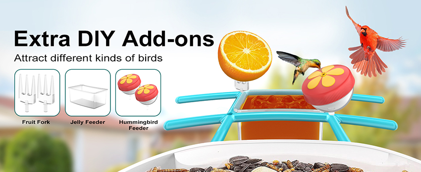 4、Diy Bird Feeder with Camera