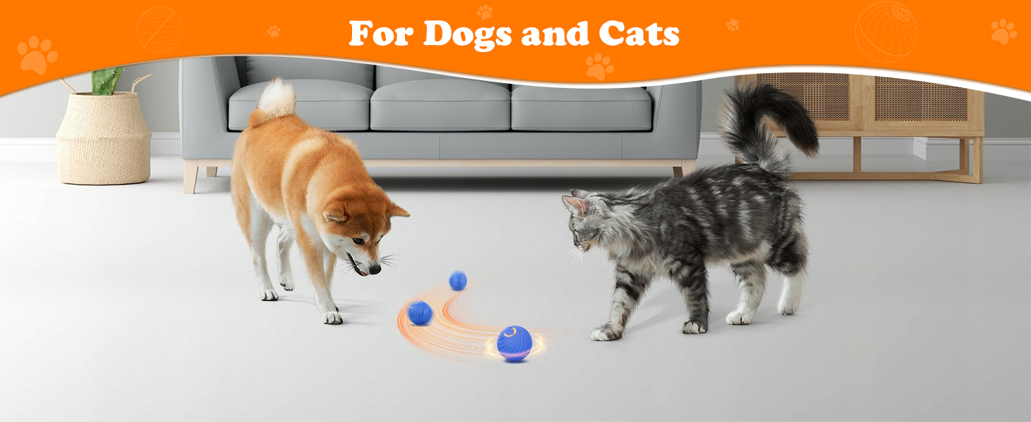 Interactive Toys For Dogs Home Alone