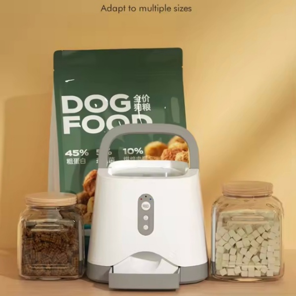 Feed The Cats Training
