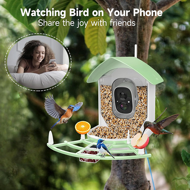 Wehao Smart AI Bird Feeder Camera Motion Detection Solar-Powered