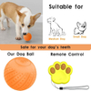 Pet Product Manufacturers Electronic Remote Interactive Ball Dog Toys