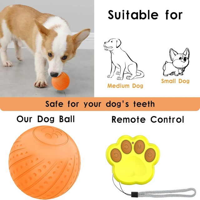 Pet Product Manufacturers Electronic Remote Interactive Ball Dog Toys