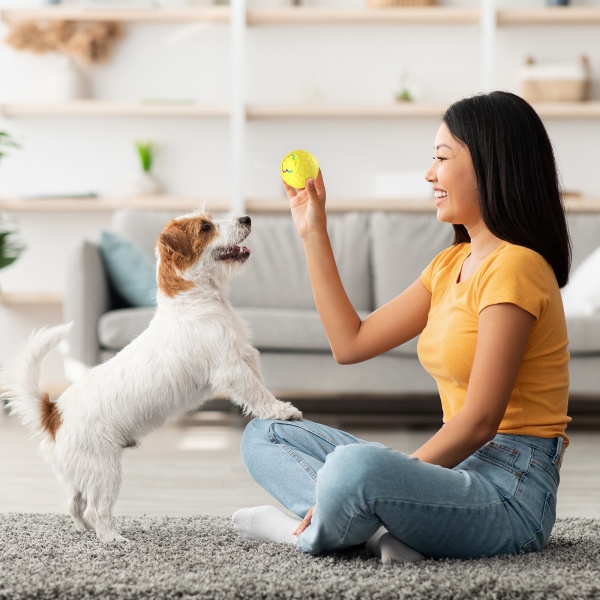Pet Ball Toys