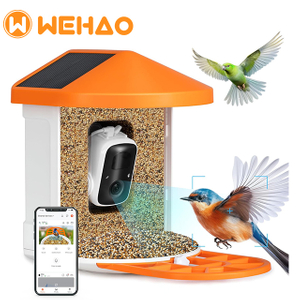 AI Identify Bird Species 11k, Auto Capture Bird Videos