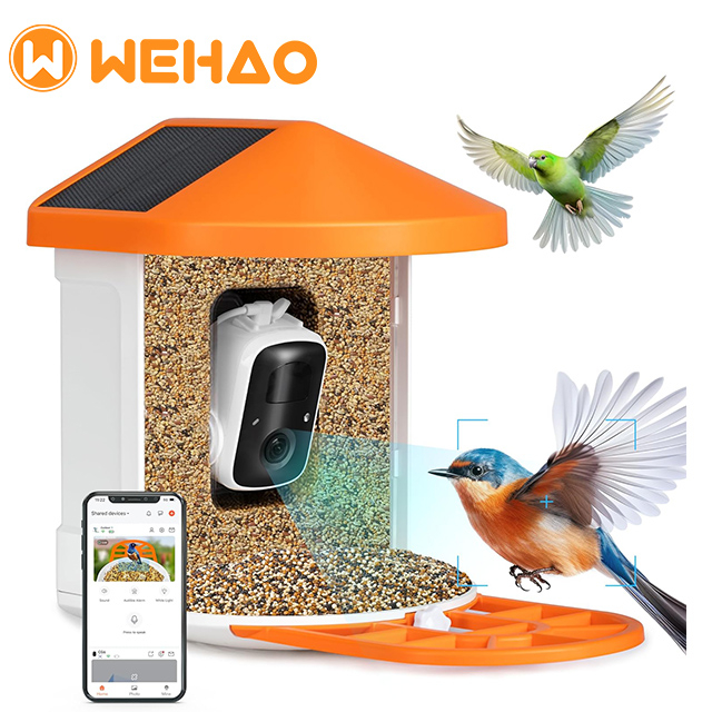 AI Identify Bird Species 11k, Auto Capture Bird Videos