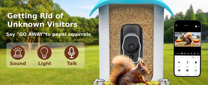 6、bird feeder with camera and identification