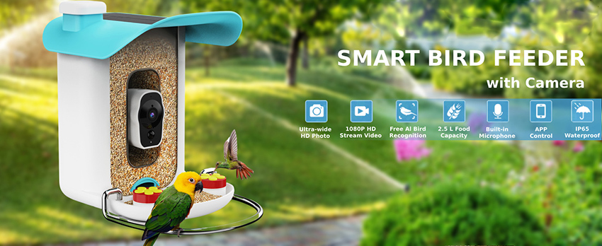 1、bird feeder with camera