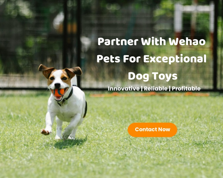 Partner With Wehao Pets For Exceptional Dog Toys