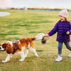 Wehao Retractable Dog Leash 16ft Durable Nylon AntiSlip Handle