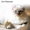 Wehao Bird Sound Interactive Cat Toy Feather Hunting
