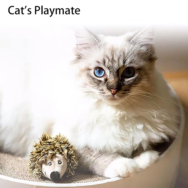 Wehao Bird Sound Interactive Cat Toy Feather Hunting