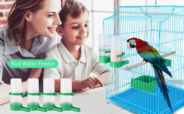1.bird bath waterer