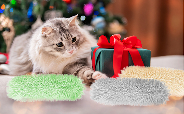 3.chewy cat toy