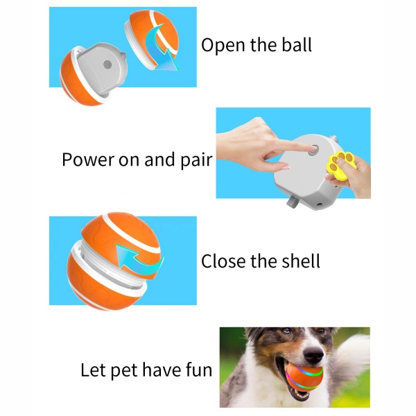 Dog Chasing Toy