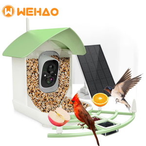 Wehao Smart AI Bird Feeder Camera Motion Detection Solar-Powered