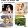 Pet Product Manufacturers Electronic Remote Interactive Ball Dog Toys