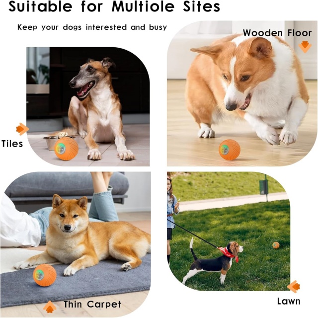 Pet Product Manufacturers Electronic Remote Interactive Ball Dog Toys