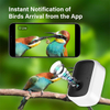 AI Identify Bird Species 11k, Auto Capture Bird Videos