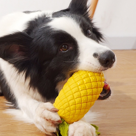 Dog Squeaky Toys.jpg