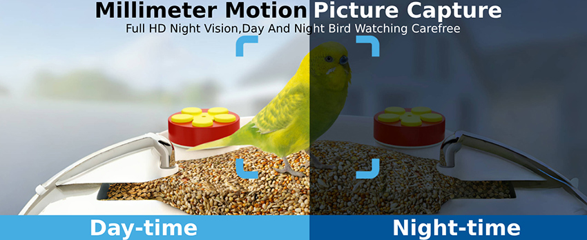 5、bird feeder with built-in camera