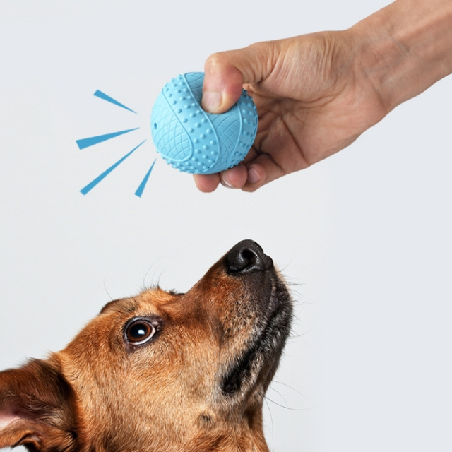 Dog Toy Suppliers Custom Interactive Rubber Squeaky Chew Ball Dog Toys