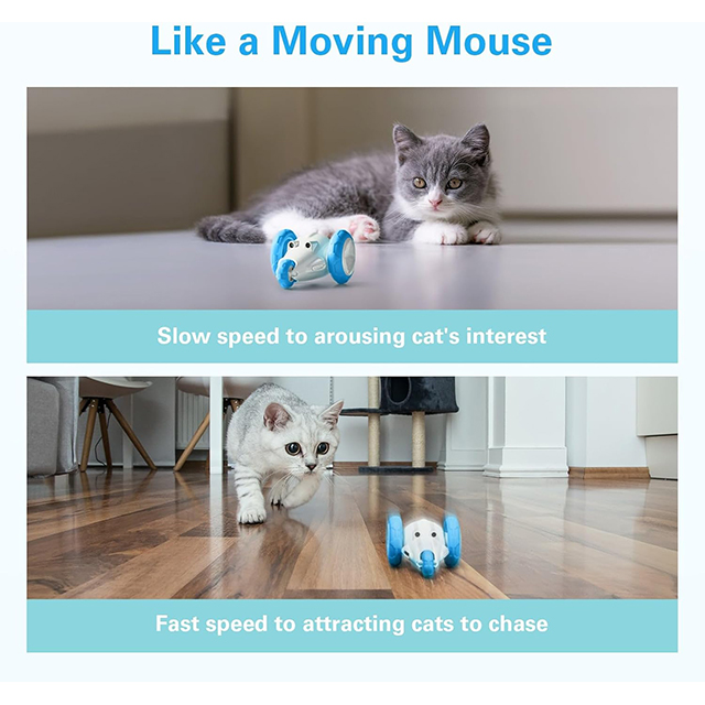 Wehao Interactive Cat Toys with Adjustable Speeds