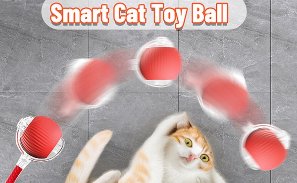 3.cat toys balls