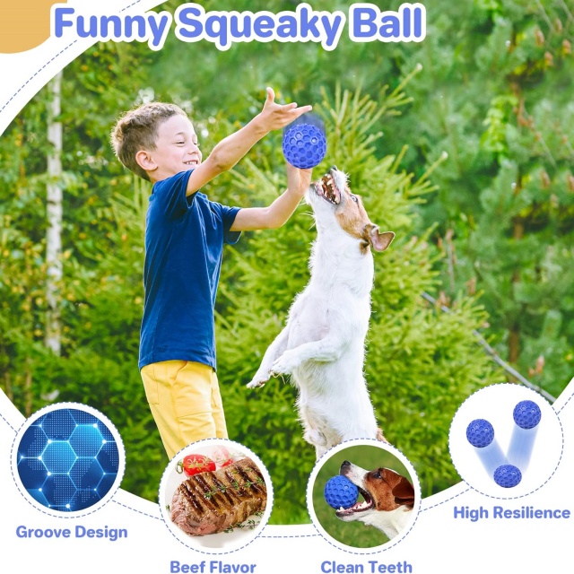 Dog Toy Manufacturer Custom Indestructible Rubber Squeaky Dog Toys Balls