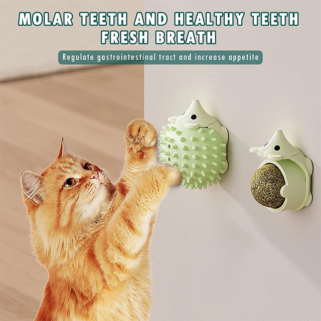 Wehao Hedgehog Catnip Wall Toy Balls