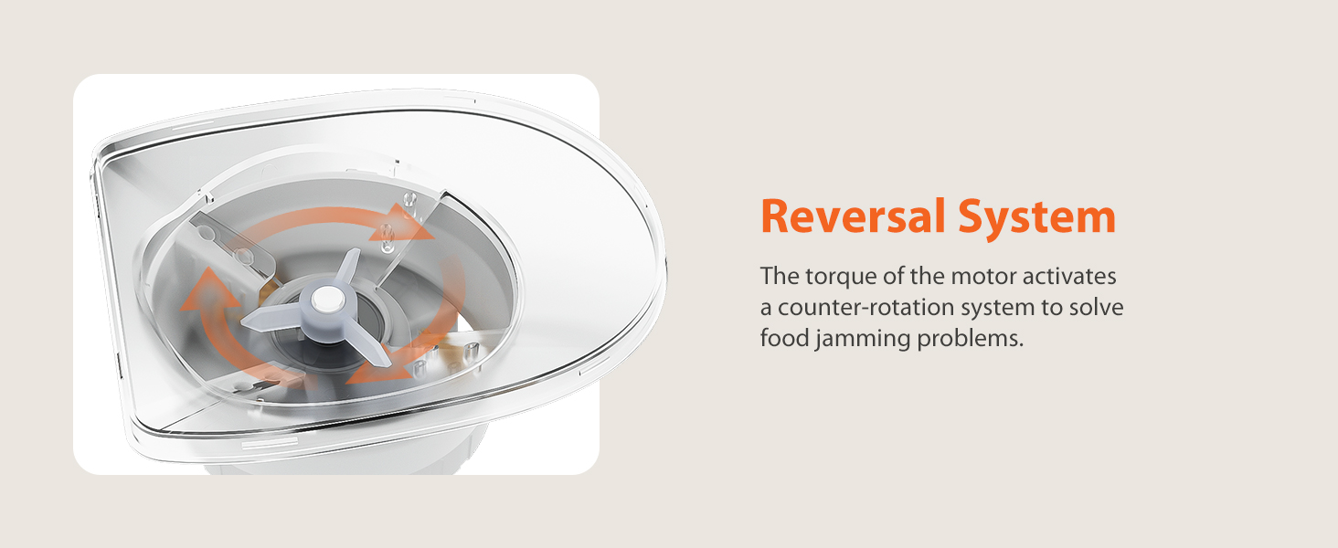 Automatic Cat Feeder