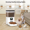 Wehao Pets 4L Square Automatic Cat Food Feeder