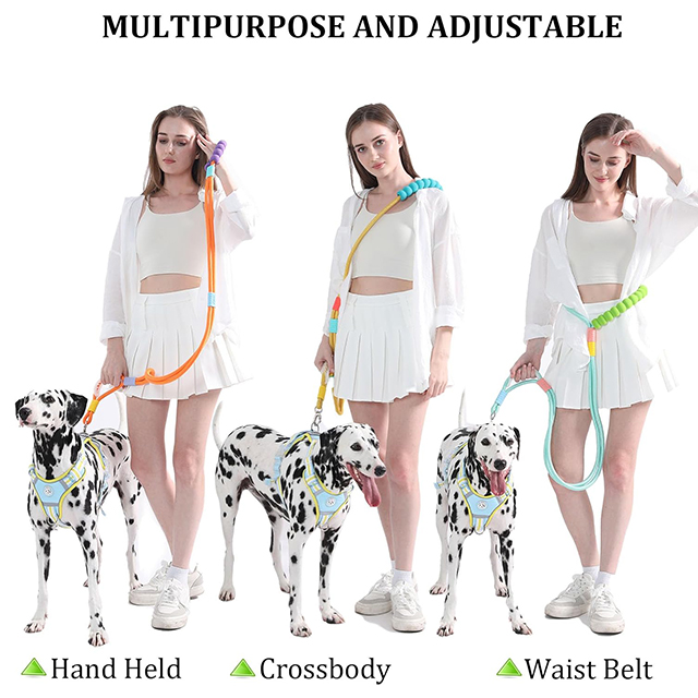 Wehao Double Handle Dog Leash Safety Adjustable Durable 5ft