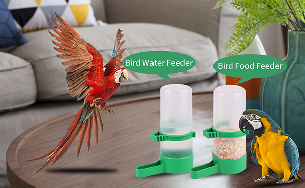 4.watering bird of paradise