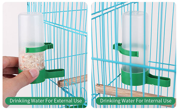 2.birds of paradise watering