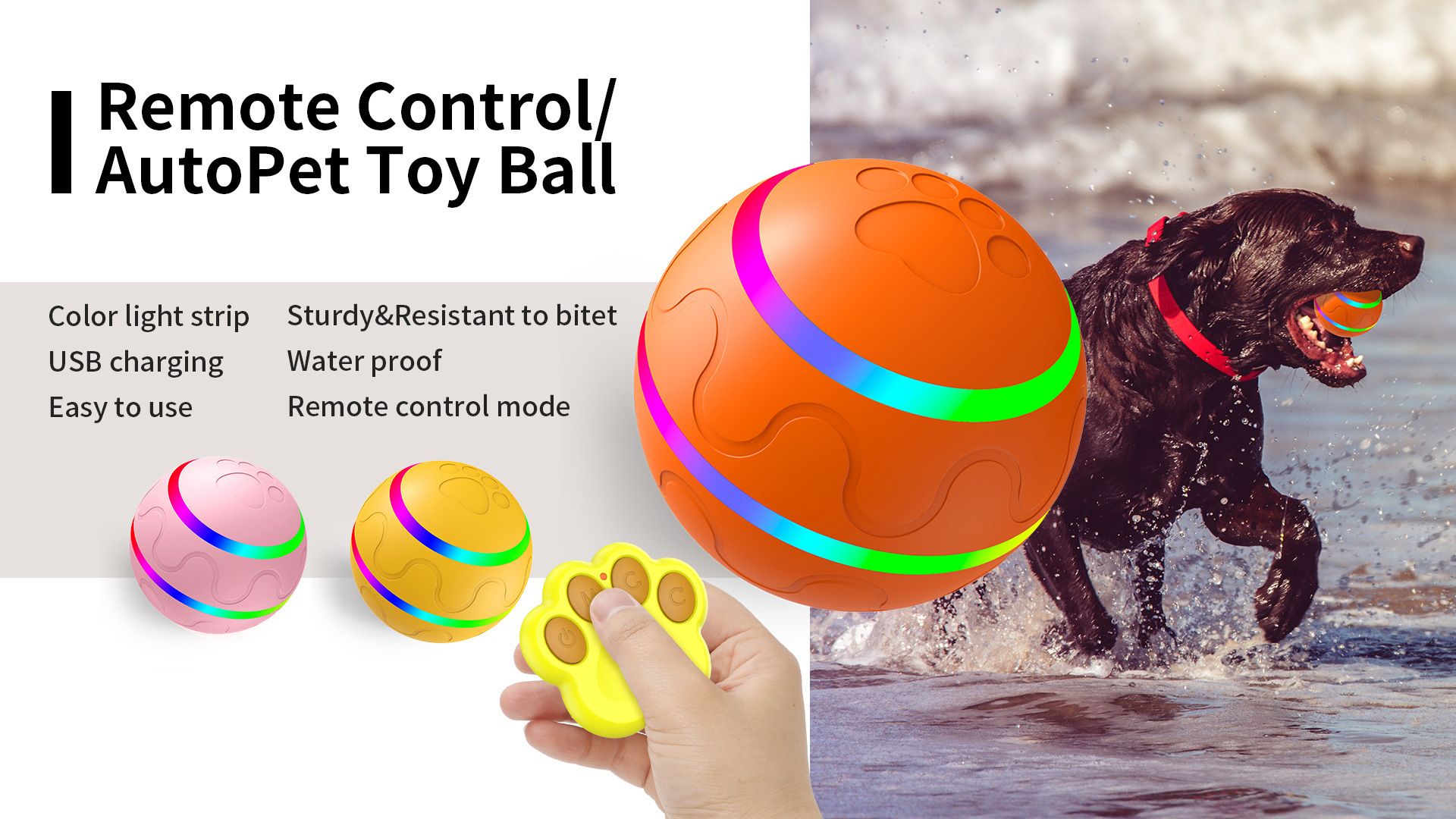 remote dog toy