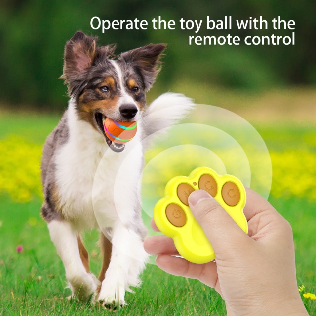 Bulk Remote Control Smart Automatic Chase Dog Toys Balls