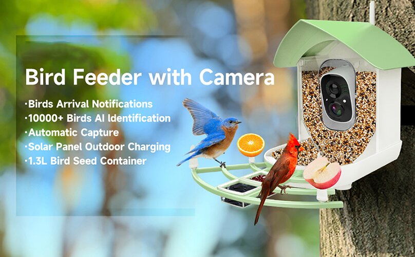 Bird Feeder With Camera