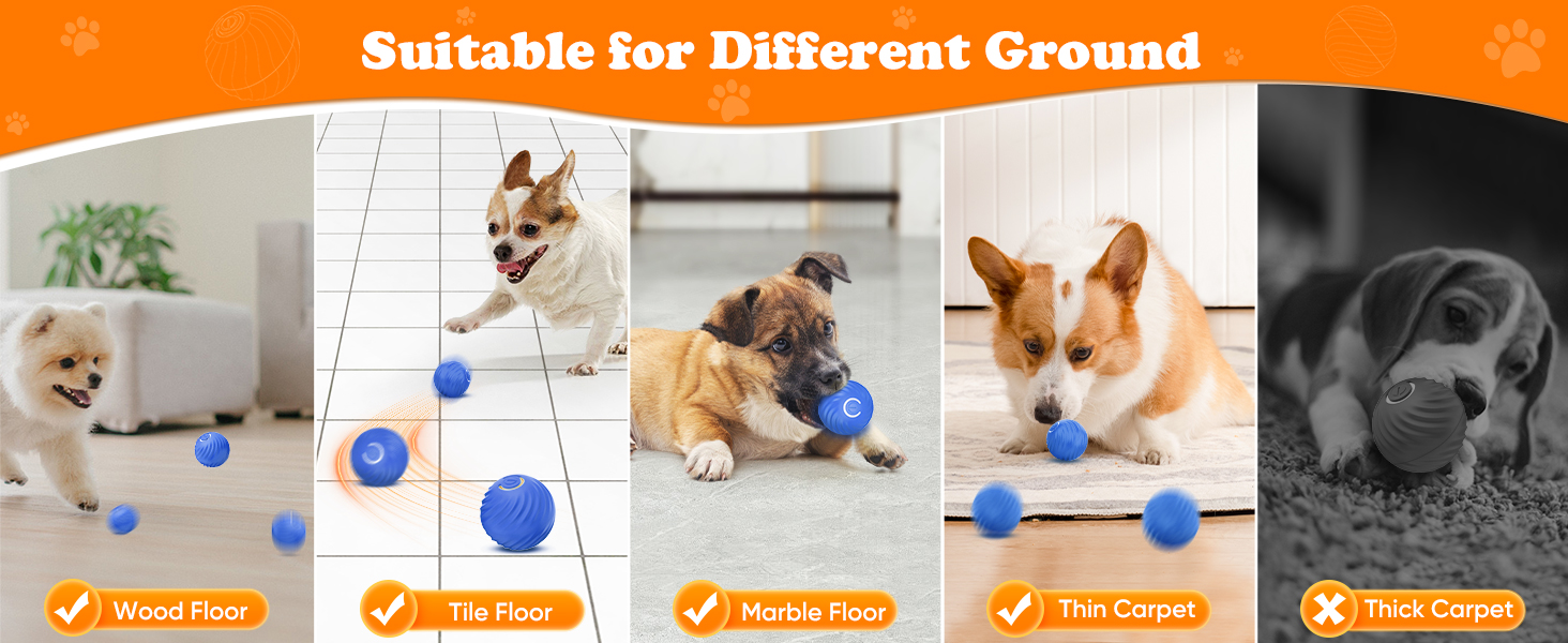 Smart Ball Cat Toy