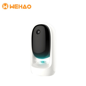 Wehao Pets Wholesale Interactive Smart Laser Teaser Cat Toys With Camera