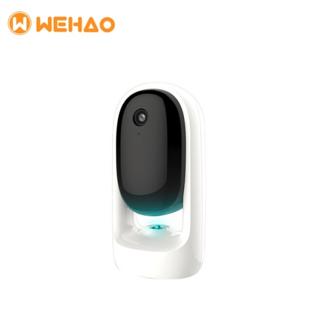 Wehao Pets Wholesale Interactive Smart Laser Teaser Cat Toys With Camera