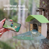 Wehao Smart AI Bird Feeder Camera Motion Detection Solar-Powered