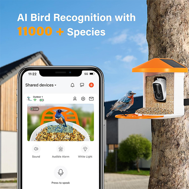 AI Identify Bird Species 11k, Auto Capture Bird Videos