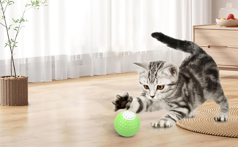 self play cat toys