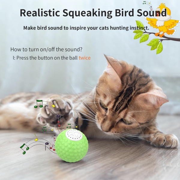 Realistic Bird Sound