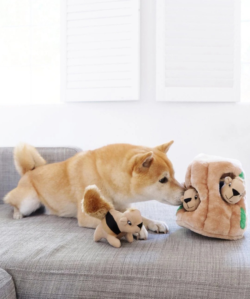 Interactive Dog Toys