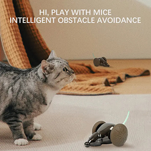 3.interactive cat hunting toy