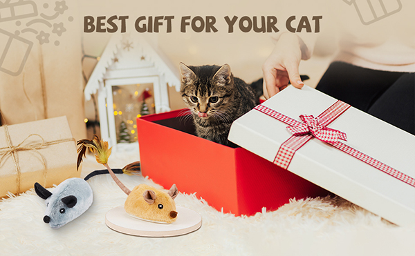 5.mouse cat toys