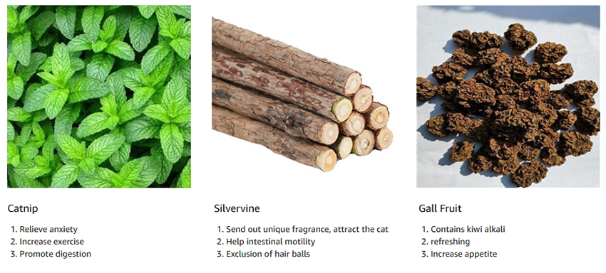 1.Arouses Interest and Boosts Appetite Catnip Toys