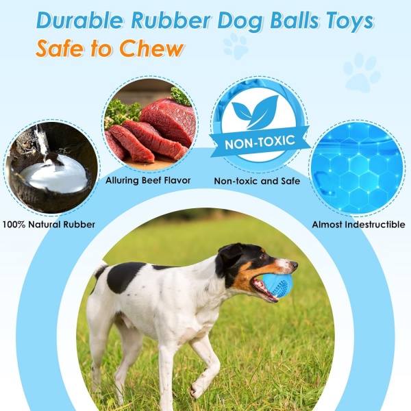Tough dog toys